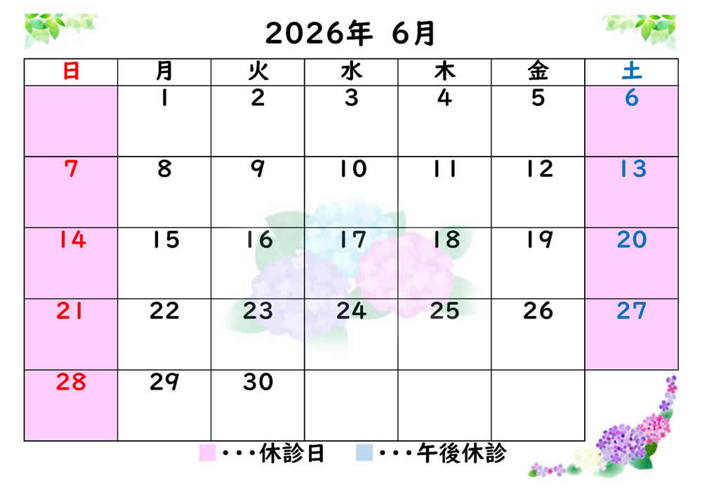 6月診療カレンダー