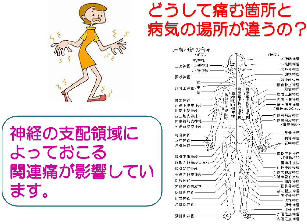 健康通信 Vol 26 大道整形外科 整形外科 リハビリテーション科 リウマチ科