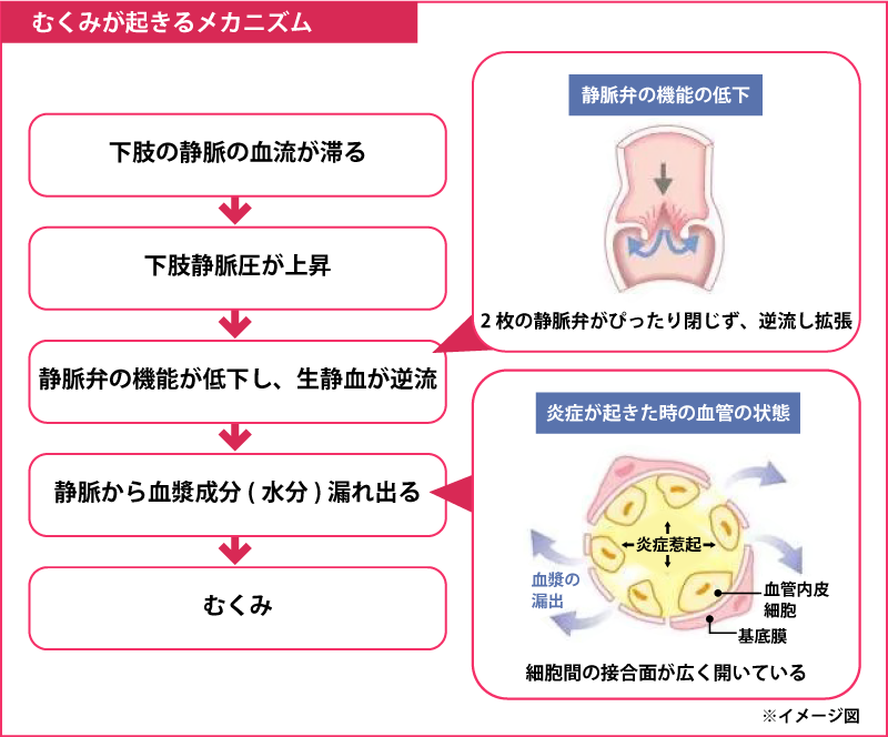 健康通信 Vol 28 大道整形外科 整形外科 リハビリテーション科 リウマチ科